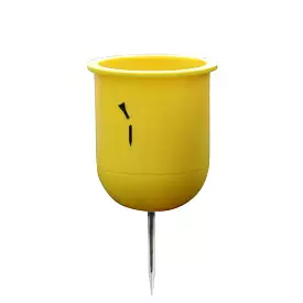 Broken Tee Cup, gul