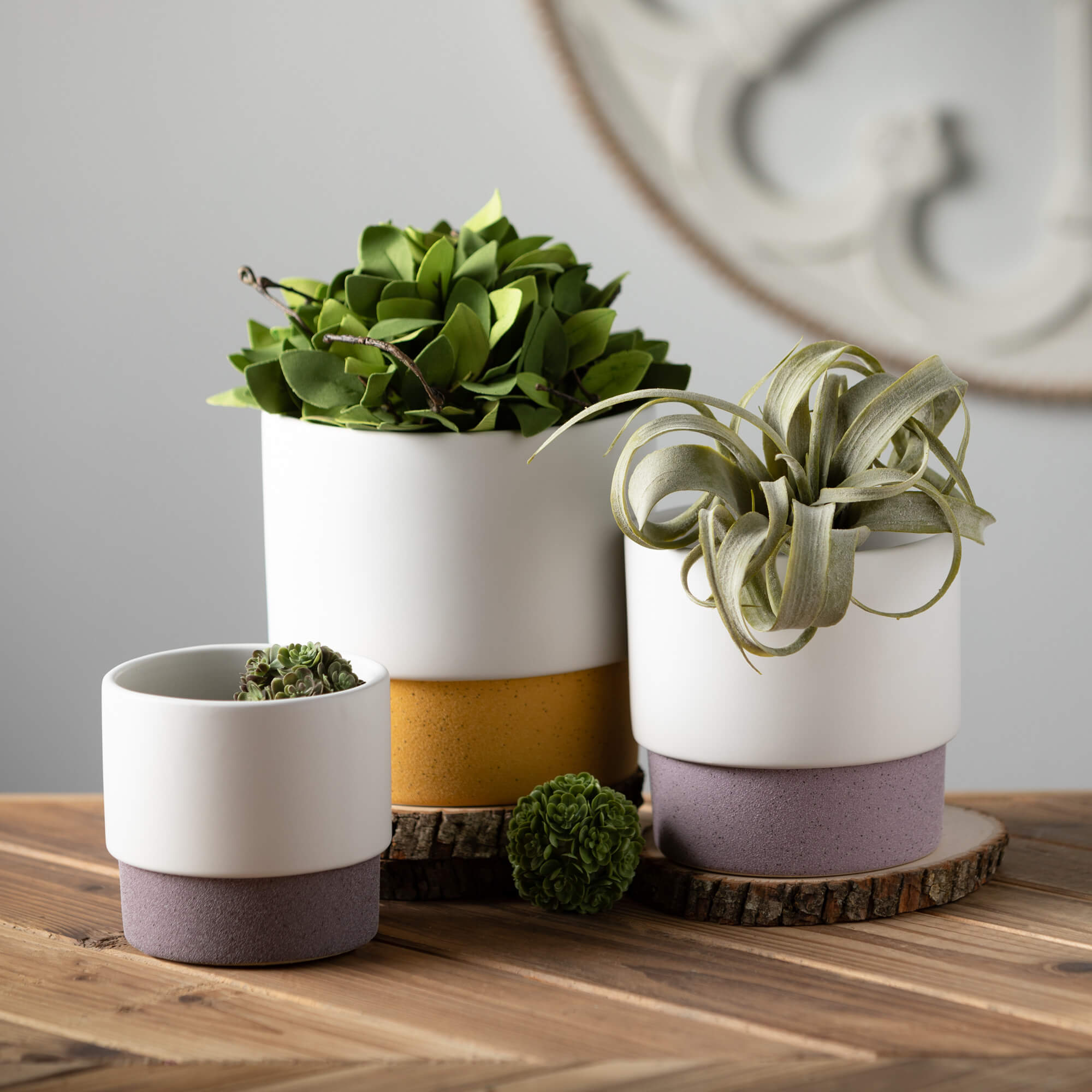 Ceramic 3-Color Planter Set