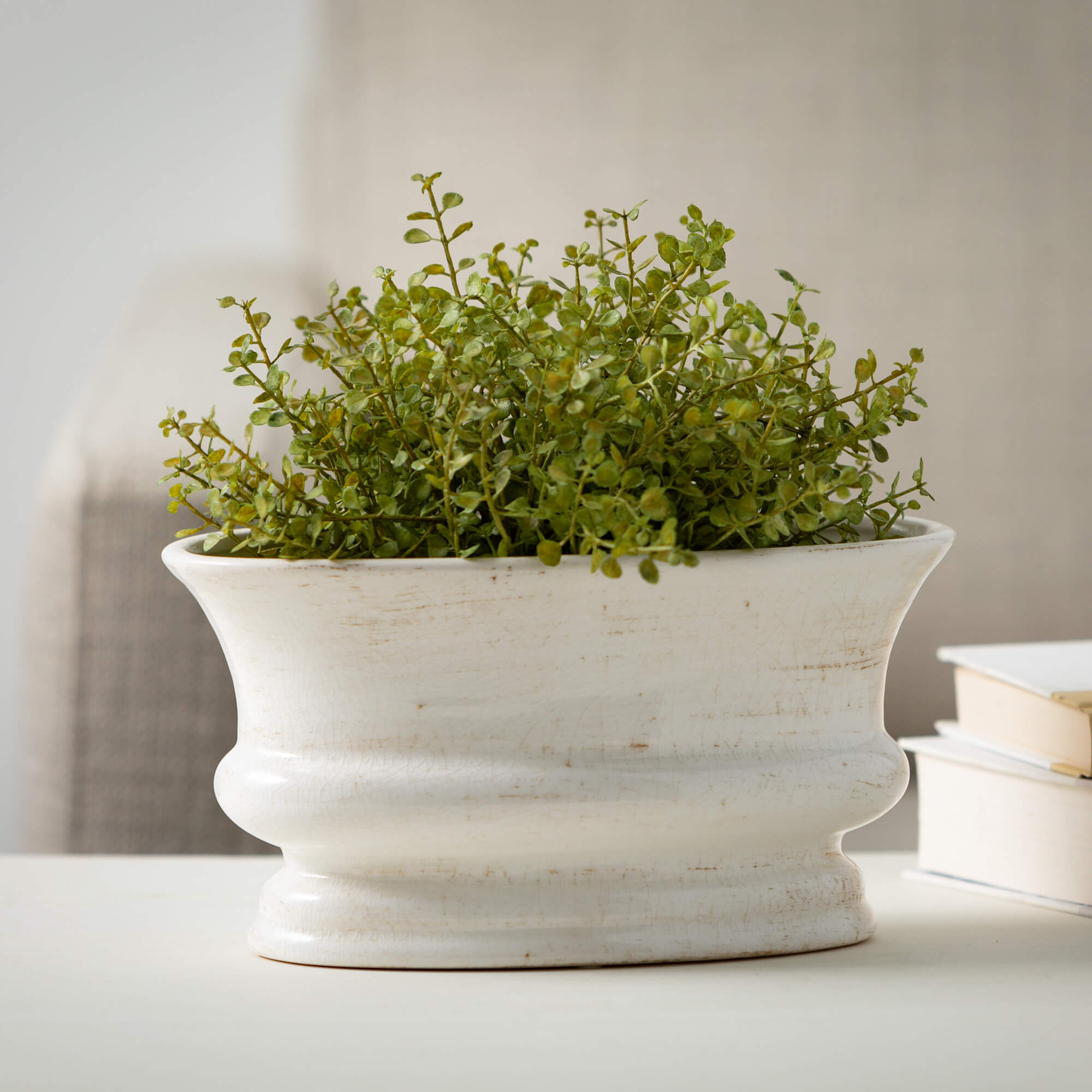 Ceramic Low Oval Planter