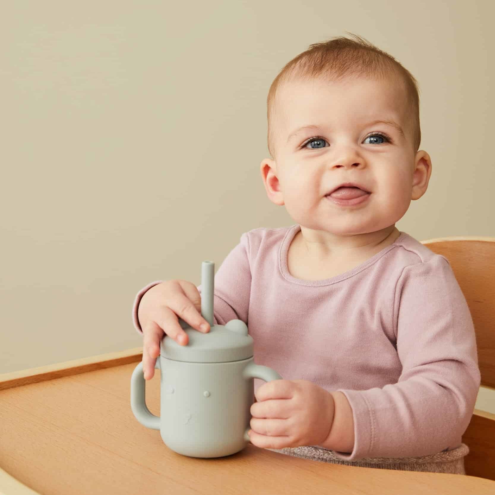 Henny Silicone Sippy Cup with Straw - Steele