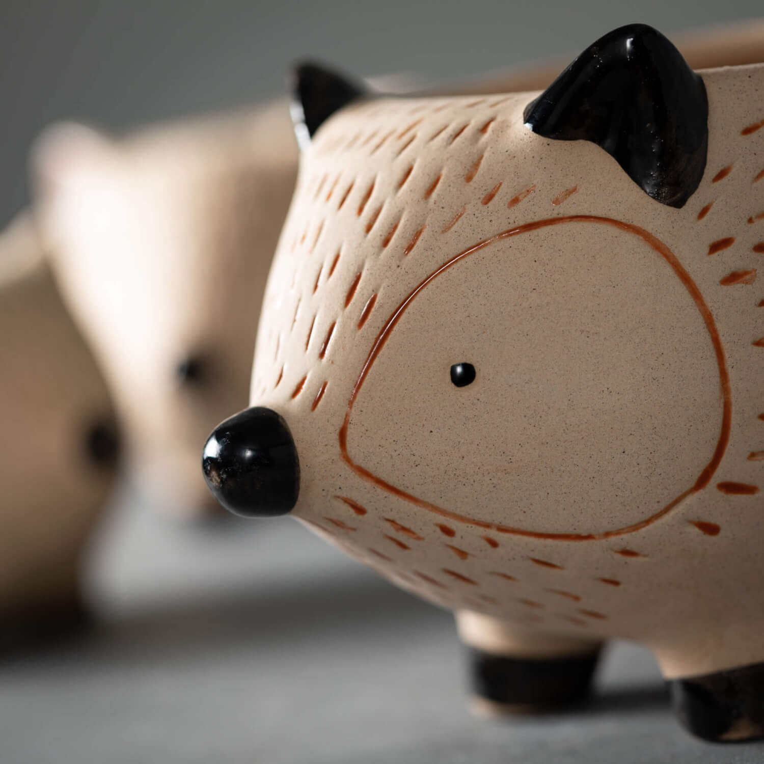 Kitschy Hedgehog Planter Set