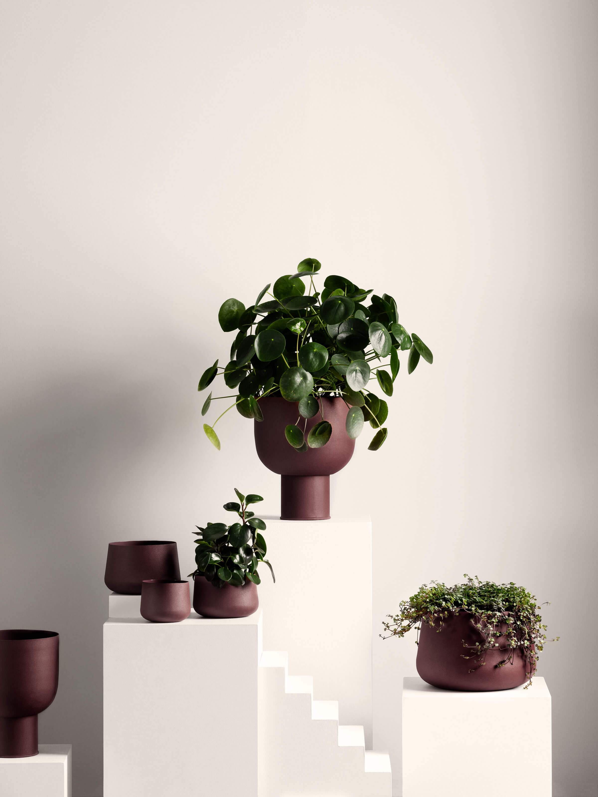 L and M Home Mona Curve Pot