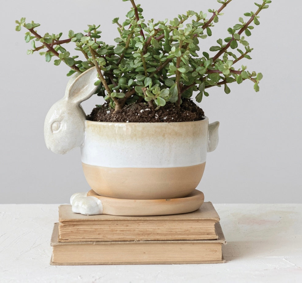 RABBIT PLANTER