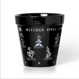 Witches Spell Garden Plant Pot